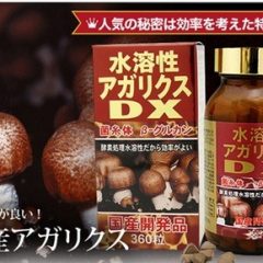 Nấm Thái Dương DX núi