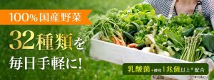 Viên Dhc rau củ Perfect Vegetable Premium Nhật Bản 60 ngày 2