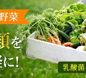 Viên Dhc rau củ Perfect Vegetable Premium Nhật Bản 60 ngày 5