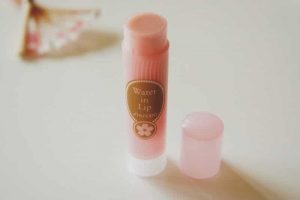 Son dưỡng môi Shiseido Water In Lip Medical 2