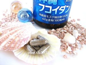 Viên uống tảo Fucoidan Okinawa phòng chống ung thư Nhật Bản 6
