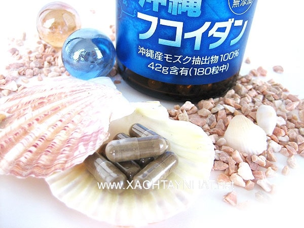 Fucoidan Okinawa Nhật bản là một lại thực phẩm chức năng chống ung thư hiệu quả