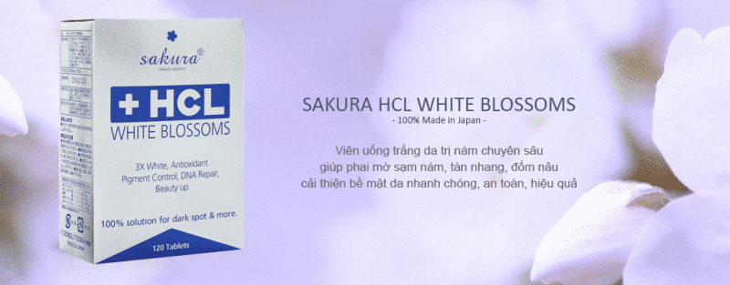 HCL WHITE BLOSSOM