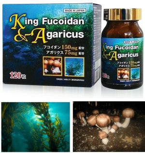 Thuốc King Fucoidan & Agaricus Nhật Bản 2