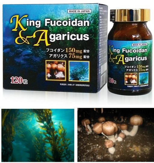 Review tảo King Fucoidan & Agaricus Nhật Bản có tốt không? Mua ở đâu King-fucoidan-510x538