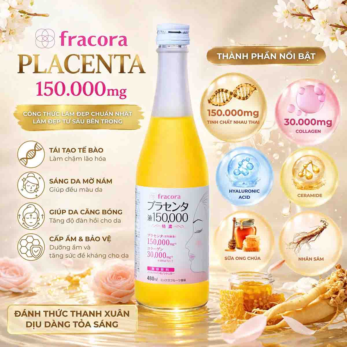 Nước uống nhau thai cừu Fracora