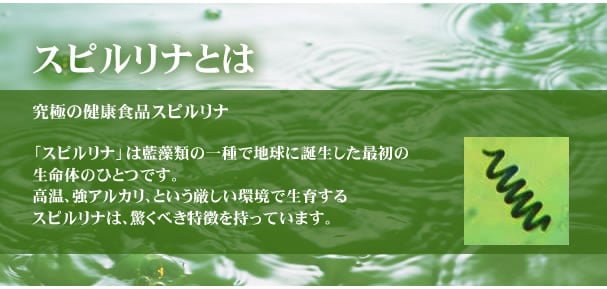 REVIEW các loại tảo Nhật Bản được ưa chuộng nhất 8