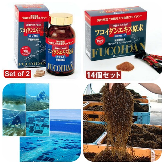 6 viên uống Fucoidan của Nhật hỗ trợ điều trị ung thư hiệu quả nhất 1