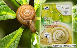 Mặt nạ ốc sên Hàn quốc Fresh Snail 3W Clinic