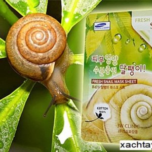 Mặt nạ ốc sên Hàn quốc Fresh Snail 3W Clinic