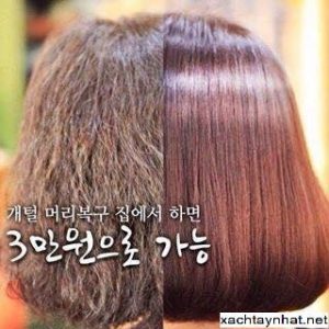 Bộ gội xả Treat Room Hàn Quốc 9,10 - Dầu gội trị rụng tóc Treatroom 4