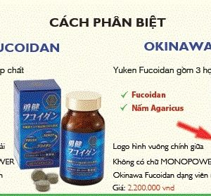 Fucoidan Yuken vs okiniwa fucoidan
