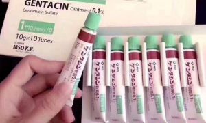 Kem trị sẹo Gentacin Ointment 0.1% ( 10gr ) Nhật Bản 2