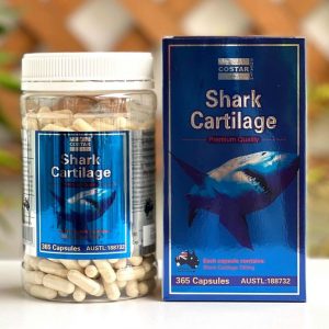 Thành phần sụn vi cá mập của Úc Shark Cartilage
