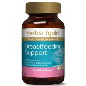 Breastfeeding Support chính hãng