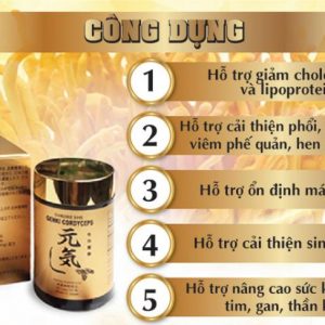 Công dụng của đông trùng hạ thảo 60 viên Shureihi Genki Cordyceps