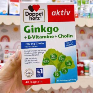Viên uống bổ não Aktiv Ginkgo 40 viên của Đức