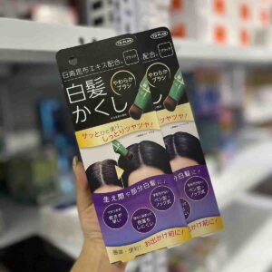 Bút nhuộm tóc bạc To Plan