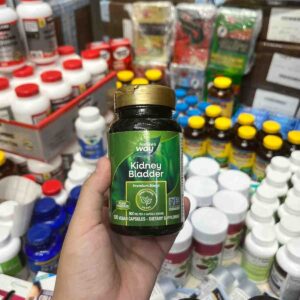Viên uống Nature's Way Kidney Bladder