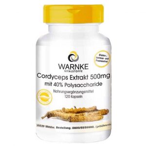 Viên uống đông trùng hạ thảo Warnke 500mg của Đức 120 viên