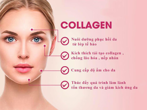 tác dụng collagen 