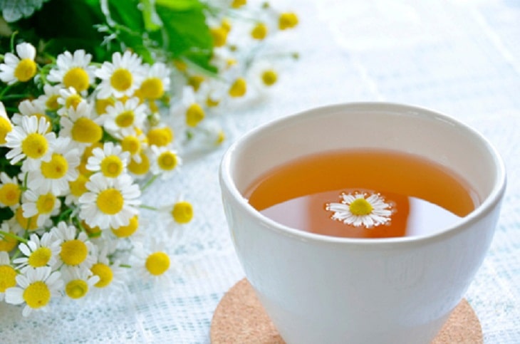 Bị nhiệt miệng nên uống trà hoa cúc