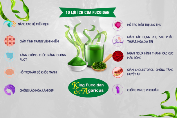 tác dụng fucoidan