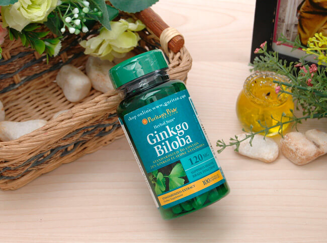 Ginkgo Biloba 120mg Puritan's Pride