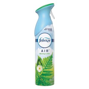 Xịt phòng Febreze Morning & Dew