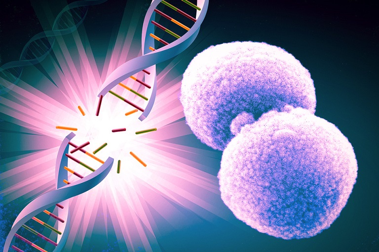 Tế bào gốc hỗ trợ trong việc điều trị lupus