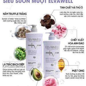 Dầu gội đầu Elvawell tím