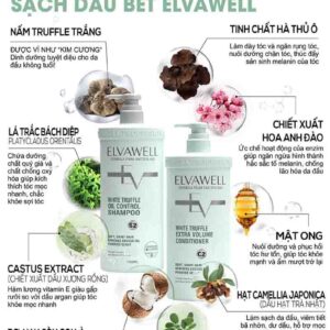 Dầu gội đầu Elvawell xanh