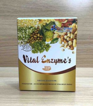 vital group vital enzymes