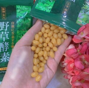 enzyme thảo mộc giảm cân seedcoms