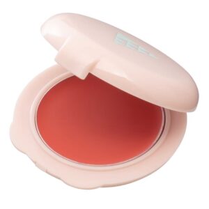 son 3 in 1 sana matte lip powder