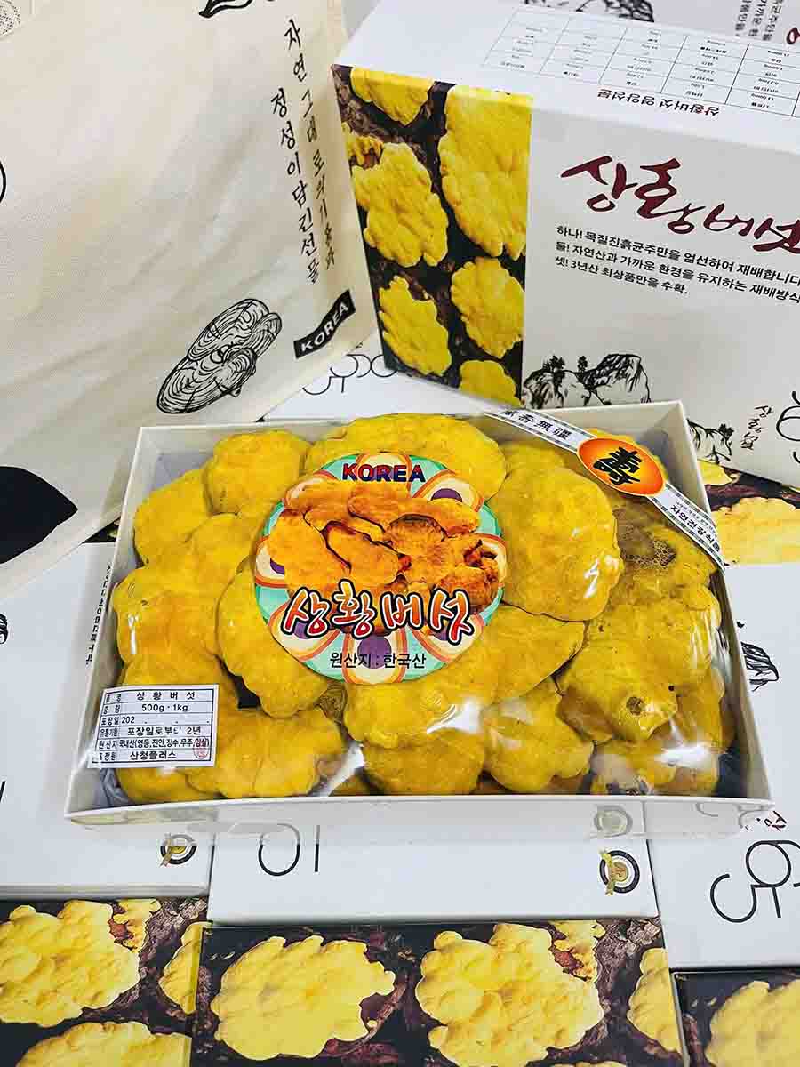 Nấm thượng hoàng 365