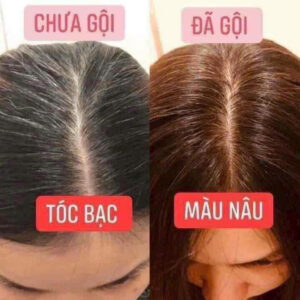 dầu gội nhuộm tóc sin hair