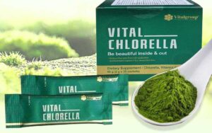 chlorella vital