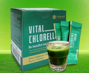 tảo vital chlorella