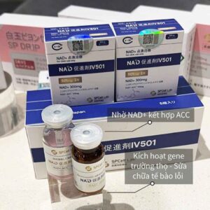 NAD+ IV 501 Spcell Lab Nhật Bản