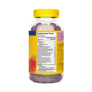 nature made gummies prenatal folic acid dha choline