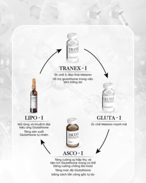 thành phần truyền trắng ovulo