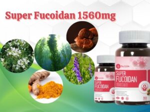 Viên uống Super Fucoidan 1560mg No1USA