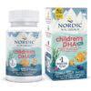 kẹo dẻo nordic naturals zero sugar children's dha