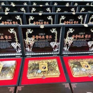 đông trùng hạ thảo hàn quốc nguyên con