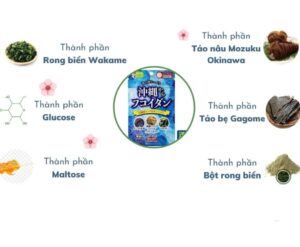 Viên uống tảo Fucoidan JGSC Gals SC