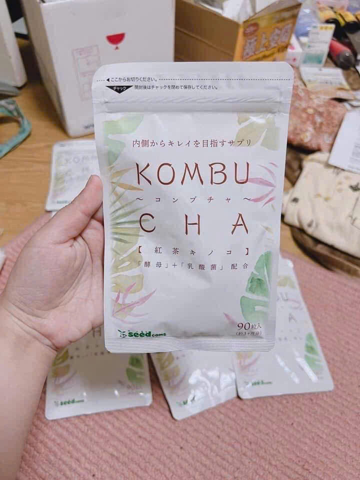 trà đen lên men kombucha seedcoms
