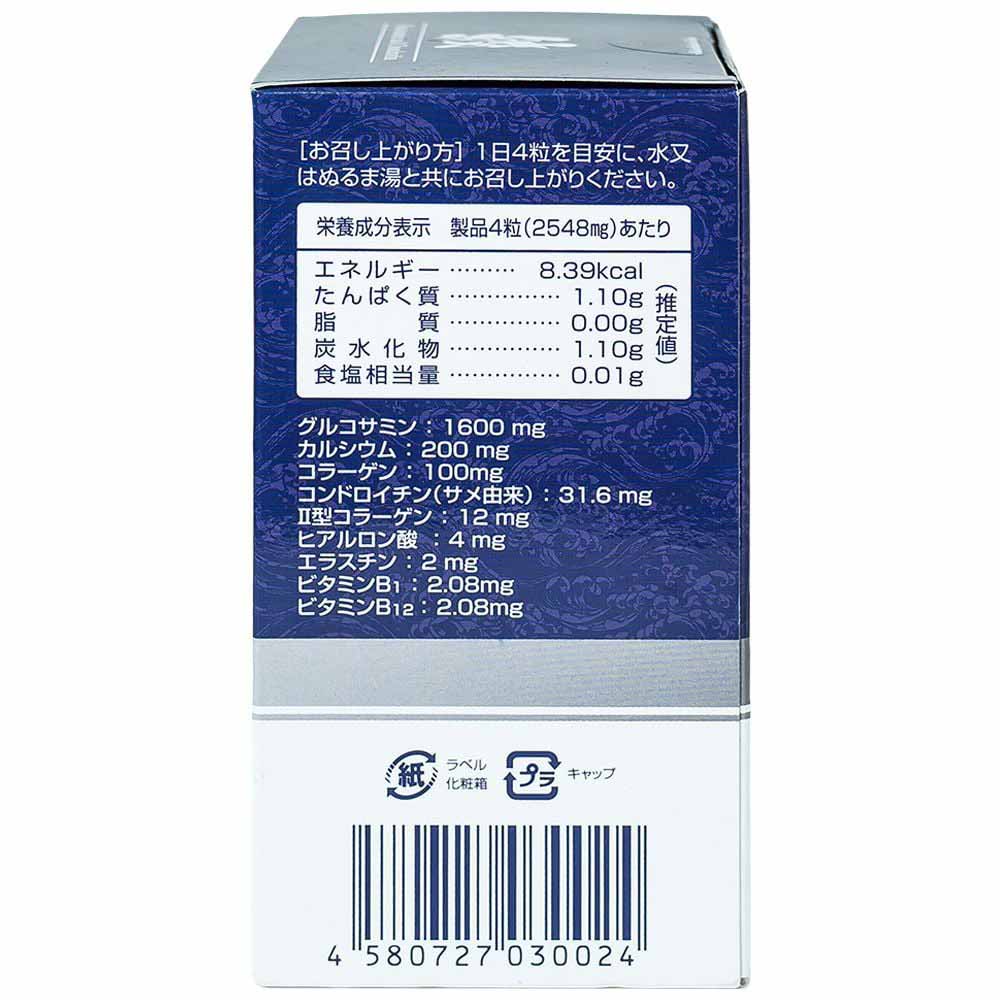 glucosamine and chondroitin jpanwell