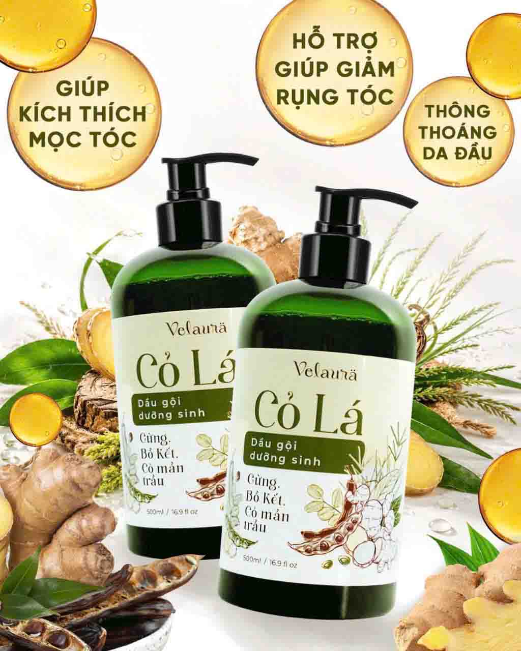 Dầu gội dưỡng sinh Cỏ Lá Velaura