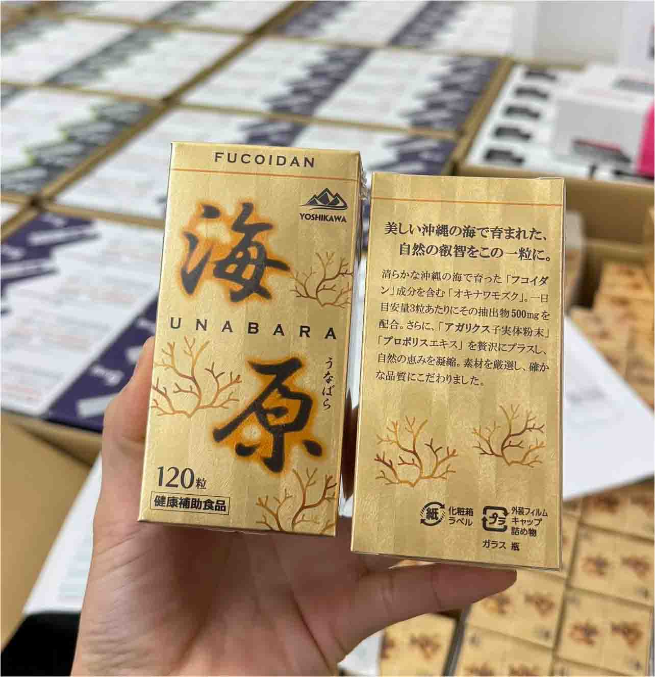 Viên uống hỗ trợ sức khỏe Fucoidan Unabara Yoshikawa